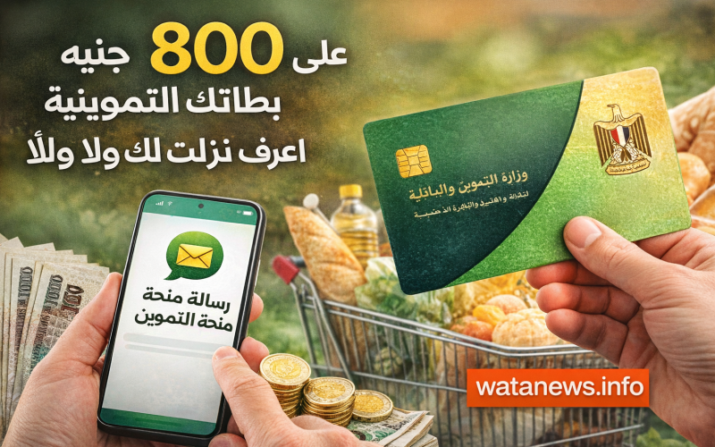 800 جنيه على بطاقتك التموينية.. اعرف نزلت لك ولا لأ وخطوات الاستعلام
