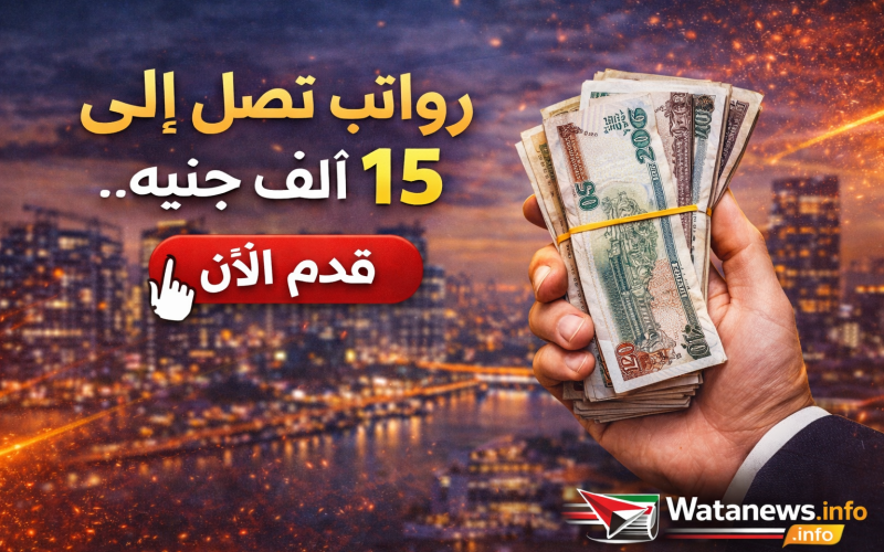 فرص عمل برواتب تصل إلى 15 ألف جنيه شهريًا.. وظائف جديدة للشباب فرصنا